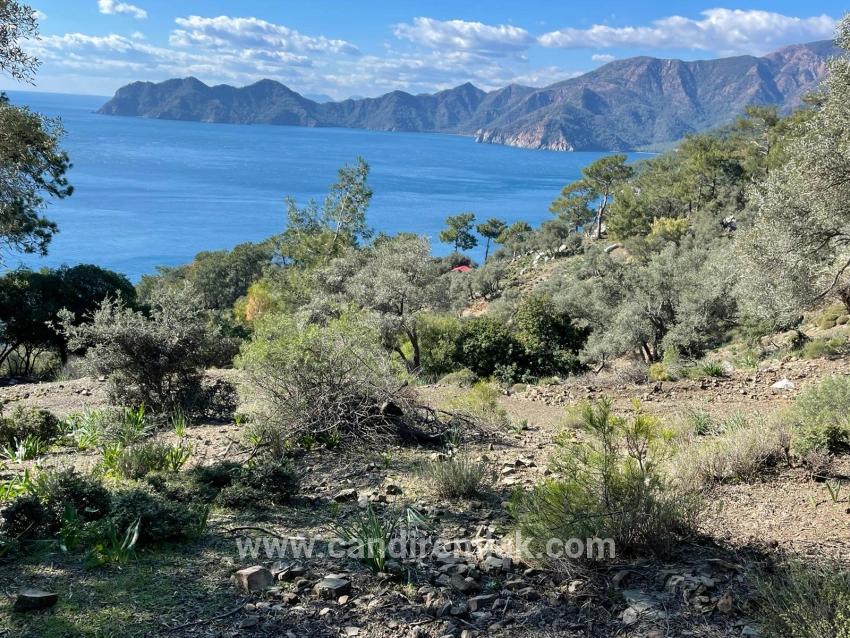 Çandır 20.000m2 2b For Sale With Full Sea View