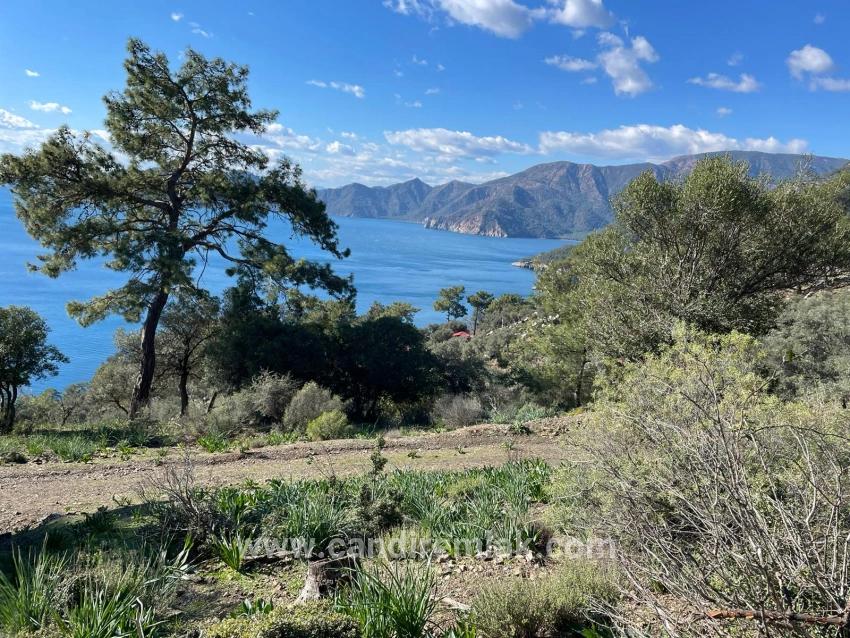 Çandır 20.000m2 2b For Sale With Full Sea View