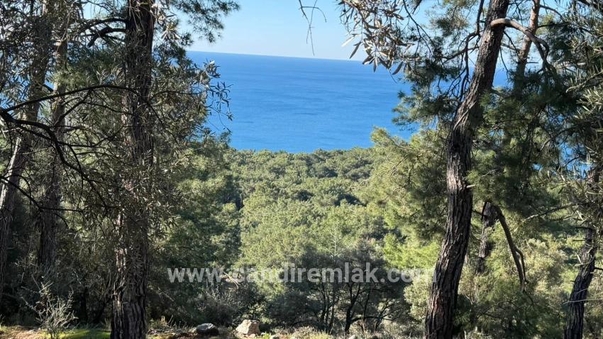 2b Field Of 5715m2 For Sale With Full Sea View In Çandır