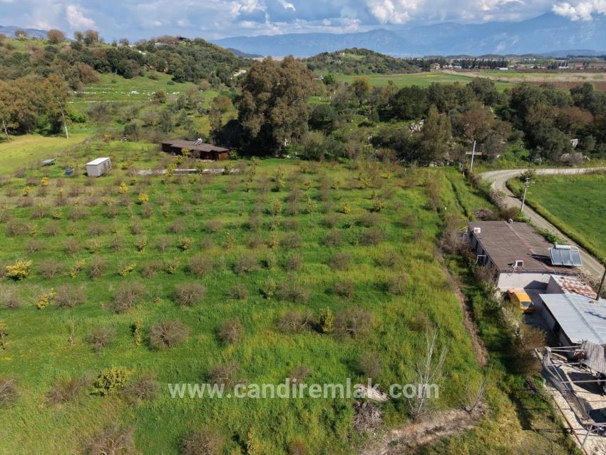 Tourism-oriented Business For Sale On An 11,000 M2 Plot Of Land In Eskiköy.