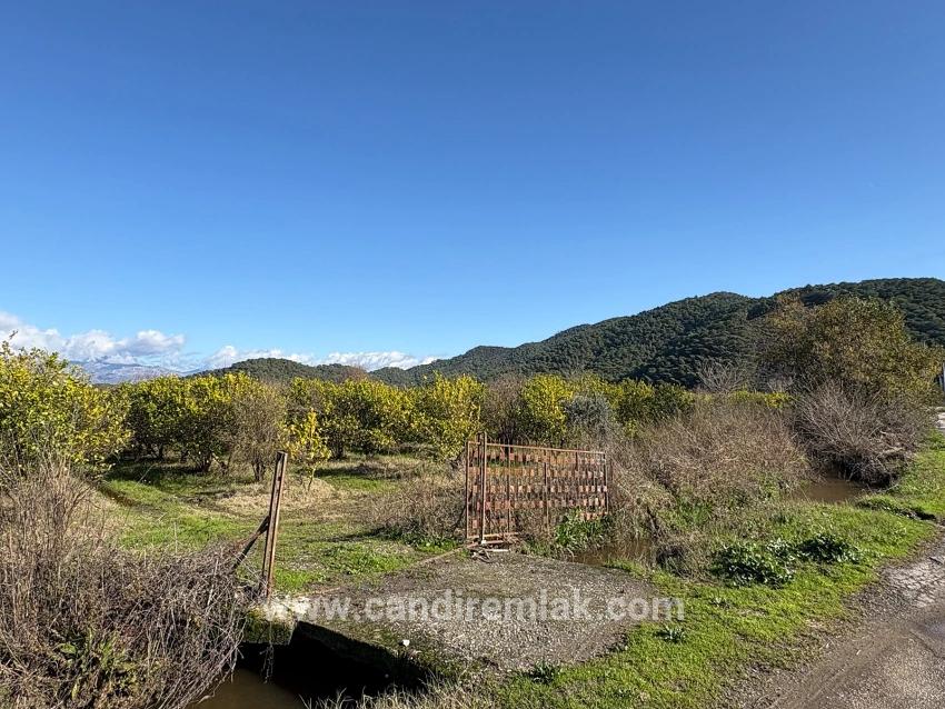 23,000 M² Detached Land For Sale In Tepearası.