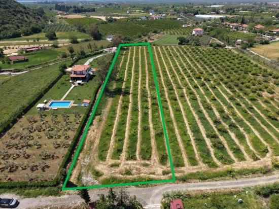 5100m2 Plot Of Land For Sale Near Dalyan Town Center.