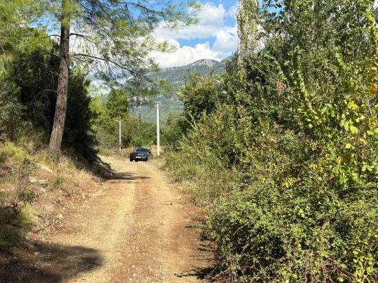 10.500 m2 field for sale In Köyceğiz Zeytinalanı