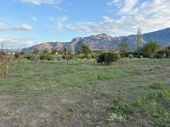 7,450 M² Plot Of Land For Sale In Dalyan With 5% Zoning.