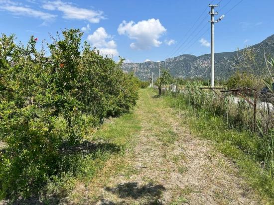 5,100 M² Plot Of Land For Sale In Dalyan, Maraş Area, Zoned For 5% Residential Use.