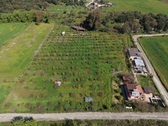 Tourism-oriented Business For Sale On An 11,000 M2 Plot Of Land In Eskiköy.