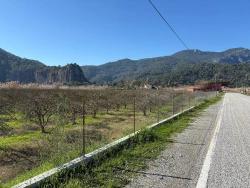 Land For sale in Dalyan Nbh. Ortaca - Housing Zoned - 5.985 m²