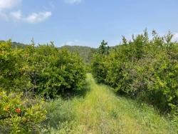 Field For sale in Gökbel Nbh. Ortaca - Housing Zoned - 7.800 m²