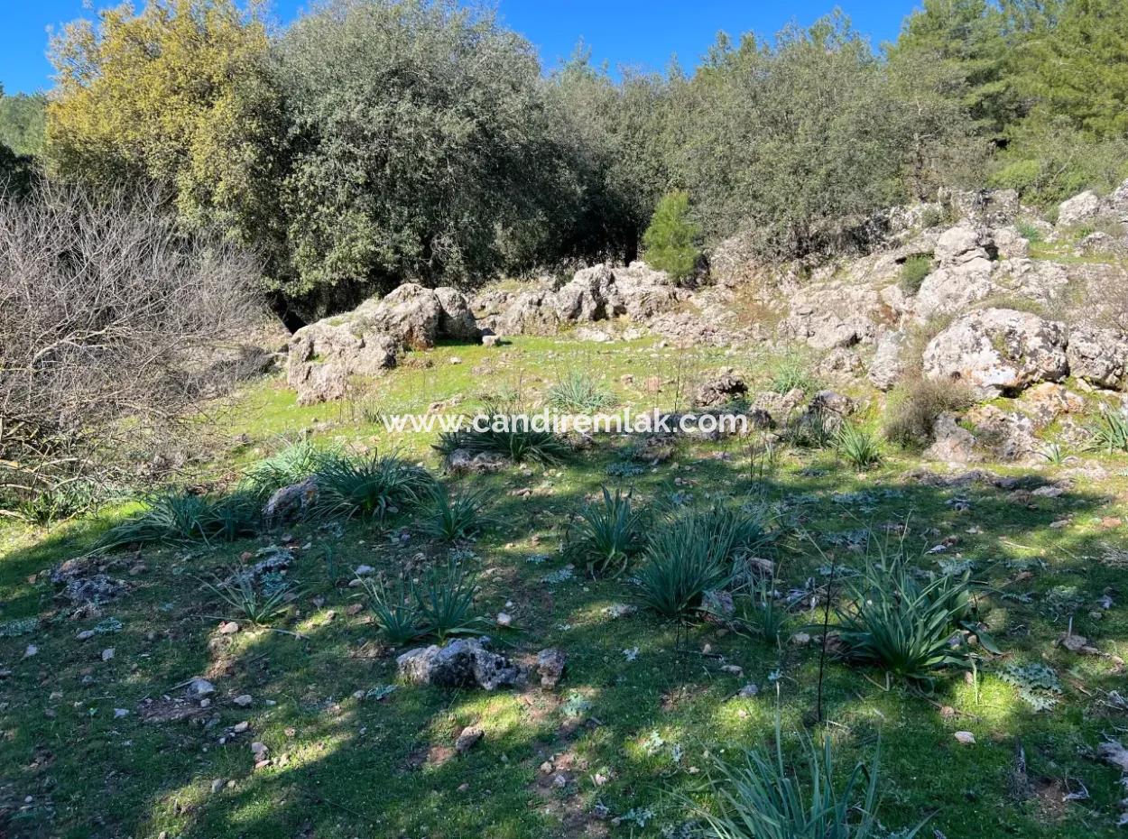 Land For Sale In Nature And Forest In Gökbel