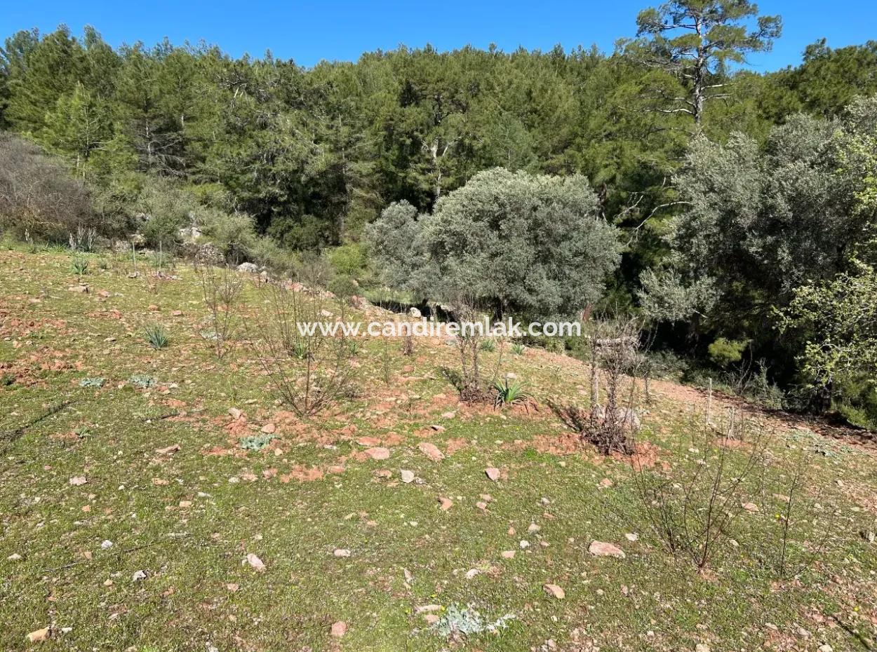 Land For Sale In Nature And Forest In Gökbel