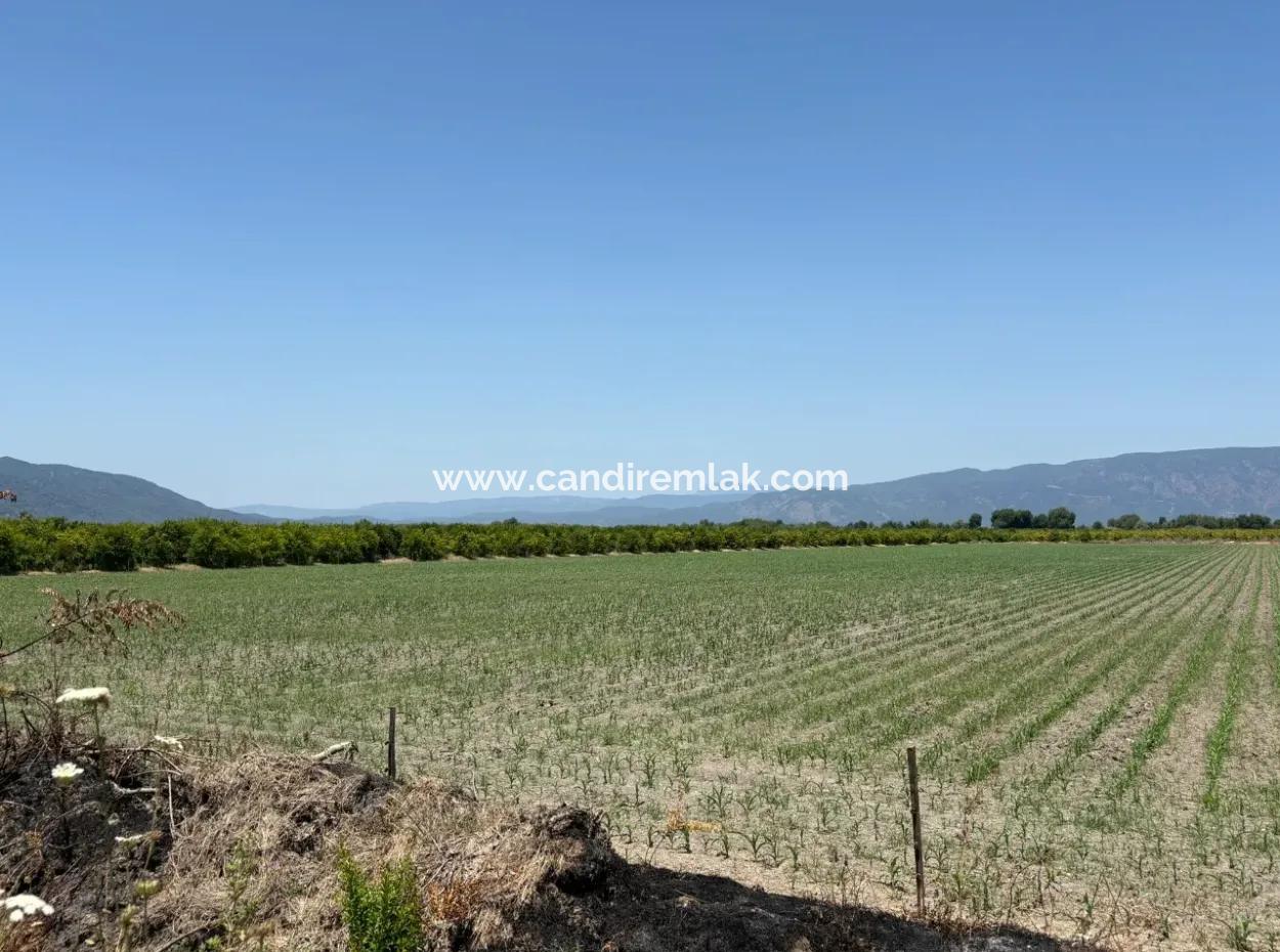 46,550M2 Land For Sale In Tepearası