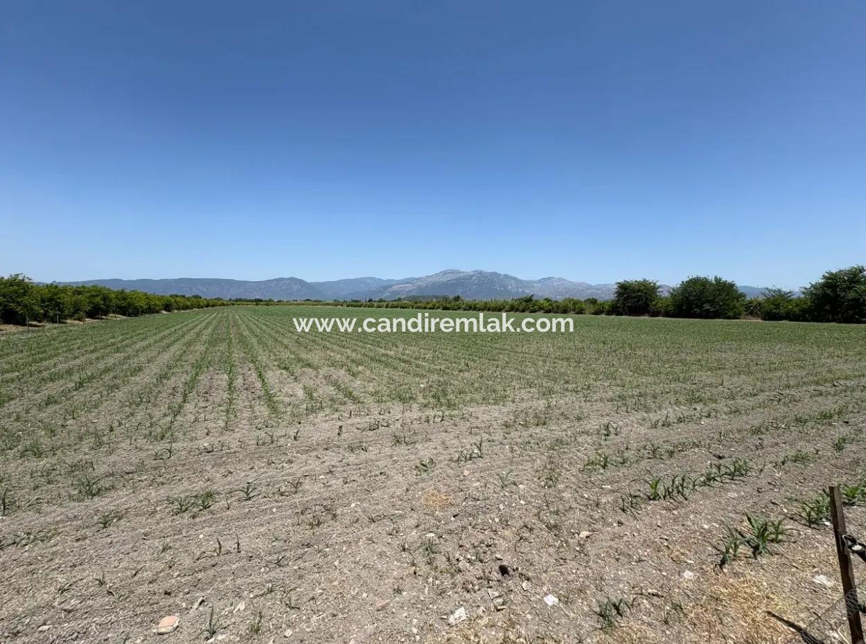 46,550M2 Land For Sale In Tepearası