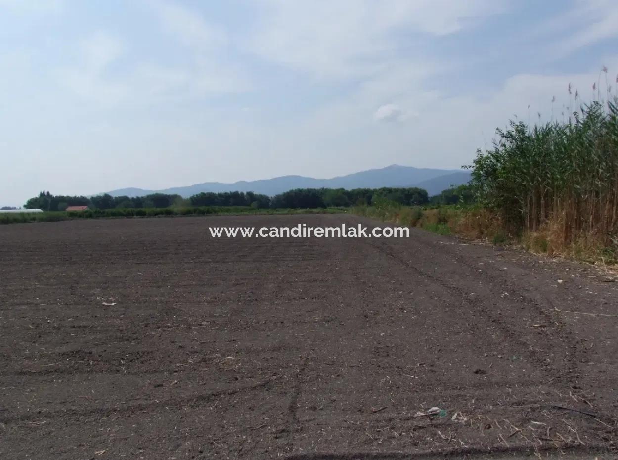 Farm For Sale In Dalyan Eskikoy Eskikoy Oriya 14,900M2 Plot For Sale Field