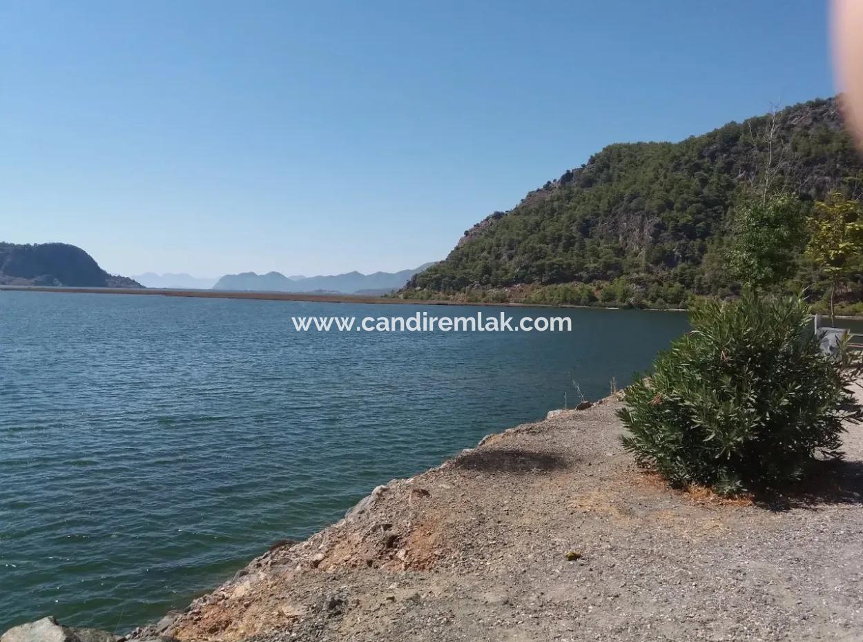 Merkez Dalyan Lake Iztuzu For Sale In Gokbel Zero Path 7484M2