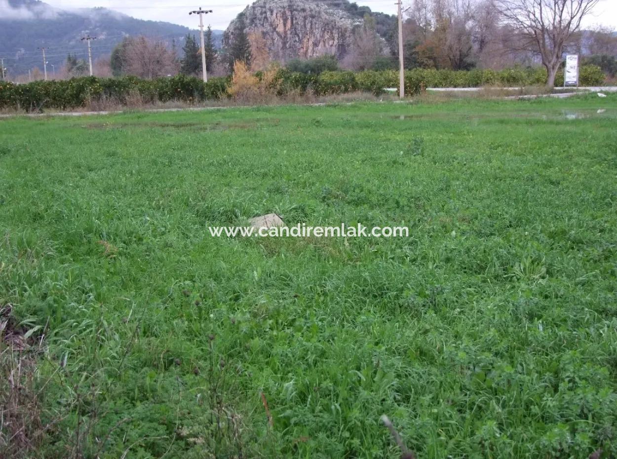 Gulpinar Dalyan Dalyan For Sale In 1002M2 Plot For Sale For Sale Cornerstone