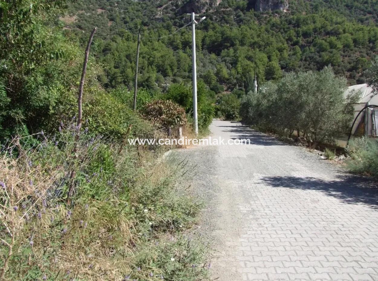 930M2 Land For Sale In Plot For Sale In Mergenli Ortaca Mergenli