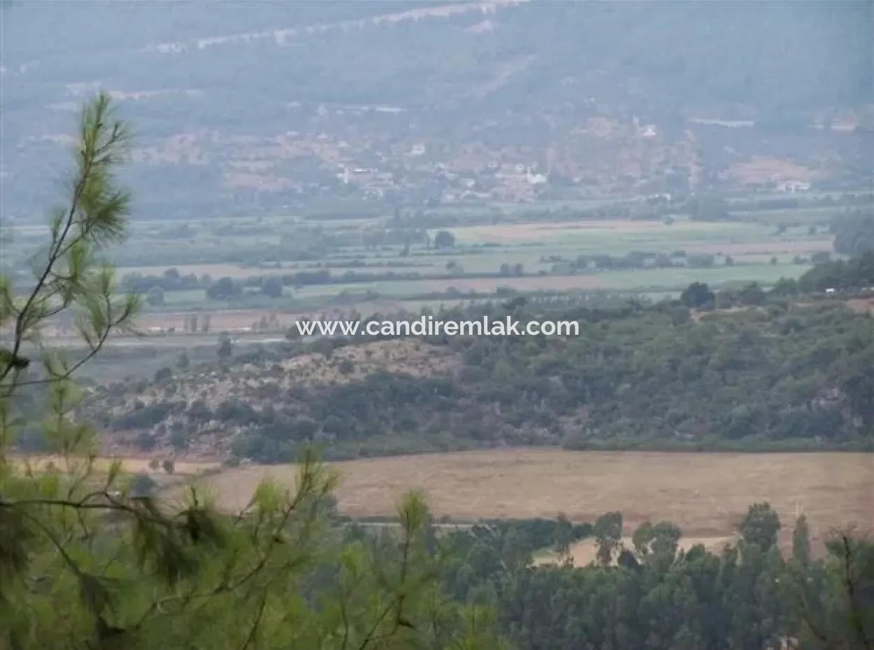 Gökçe Gökçe 21671M2 Farm For Sale For Sale