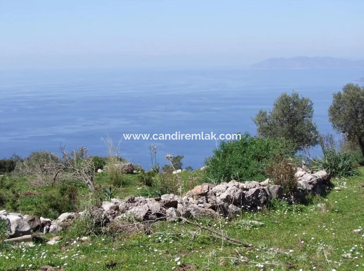 Land For Sale In Faralya With Full Sea View For Sale