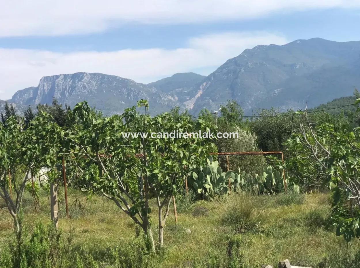 Land For Sale In Seydikemer Korubuku 76000M2