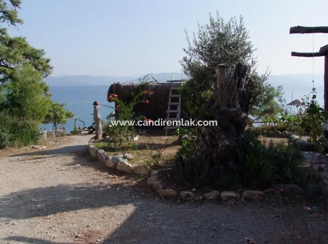 Beachfront Bungalow For Sale In Akbuk By The Sea In A Plot Of 800M2 Villa For Sale Turnalı