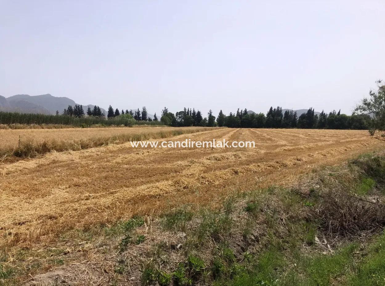 Farm Land For Sale 39 Acres In Eskikoy