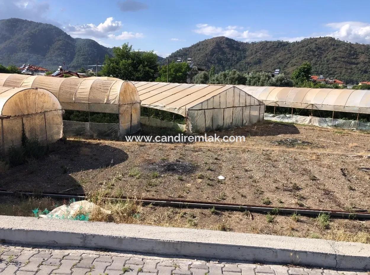 Oriya 560 560 Sq Ft Plot For Sale Commercial Land Main Road For Sale Eksiliyurt Zero