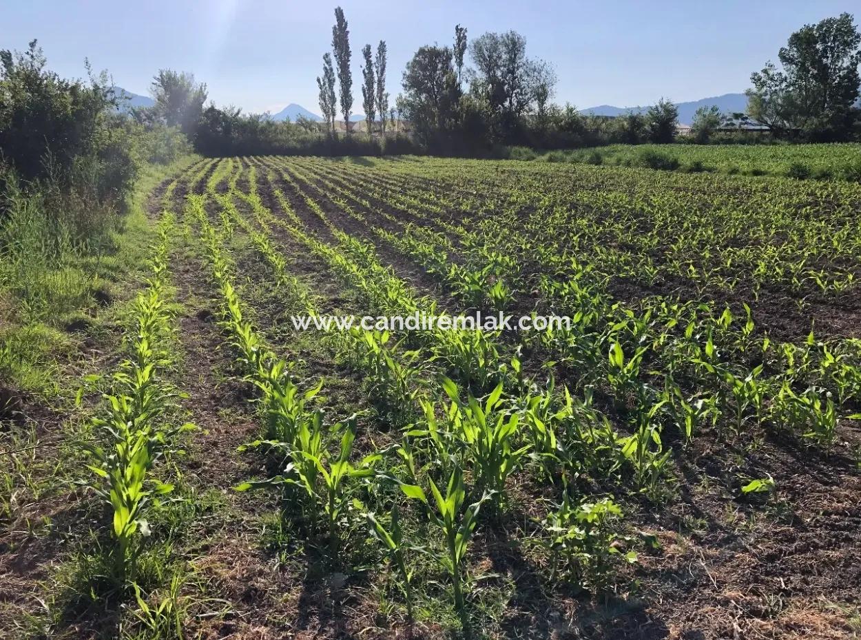 2200M2 Plot For Sale In Dalyan For Sale Dalyan