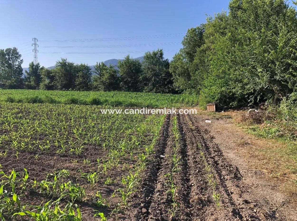 2200M2 Plot For Sale In Dalyan For Sale Dalyan