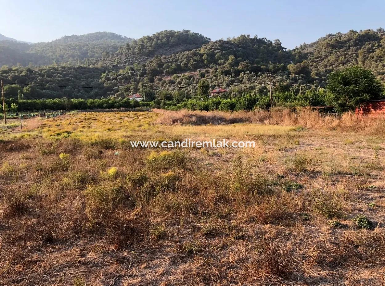 2300M2 Land For Sale Near The Center Of The Land For Sale