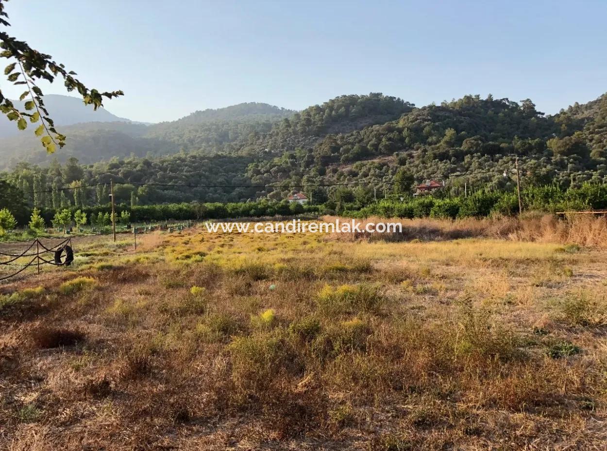 2300M2 Land For Sale Near The Center Of The Land For Sale