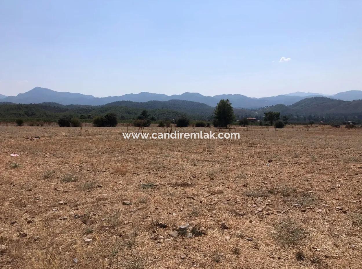 11.227M2 Land For Sale With Lake Views In Köyceğiz Zeytinalanı