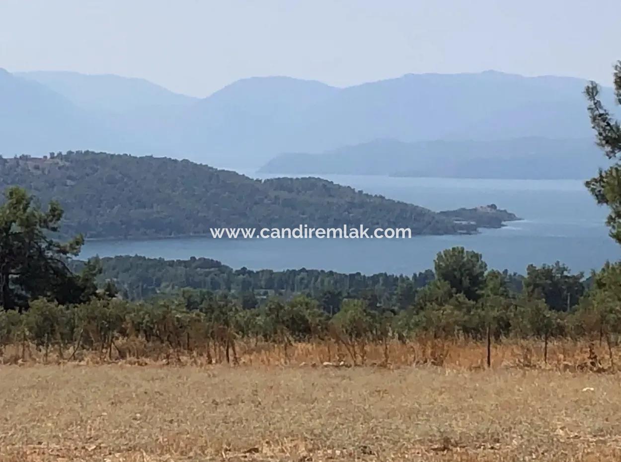 11.227M2 Land For Sale With Lake Views In Köyceğiz Zeytinalanı