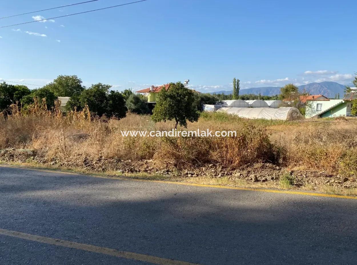 Land For Sale On 2506M2 Mainroa In Kavakarası