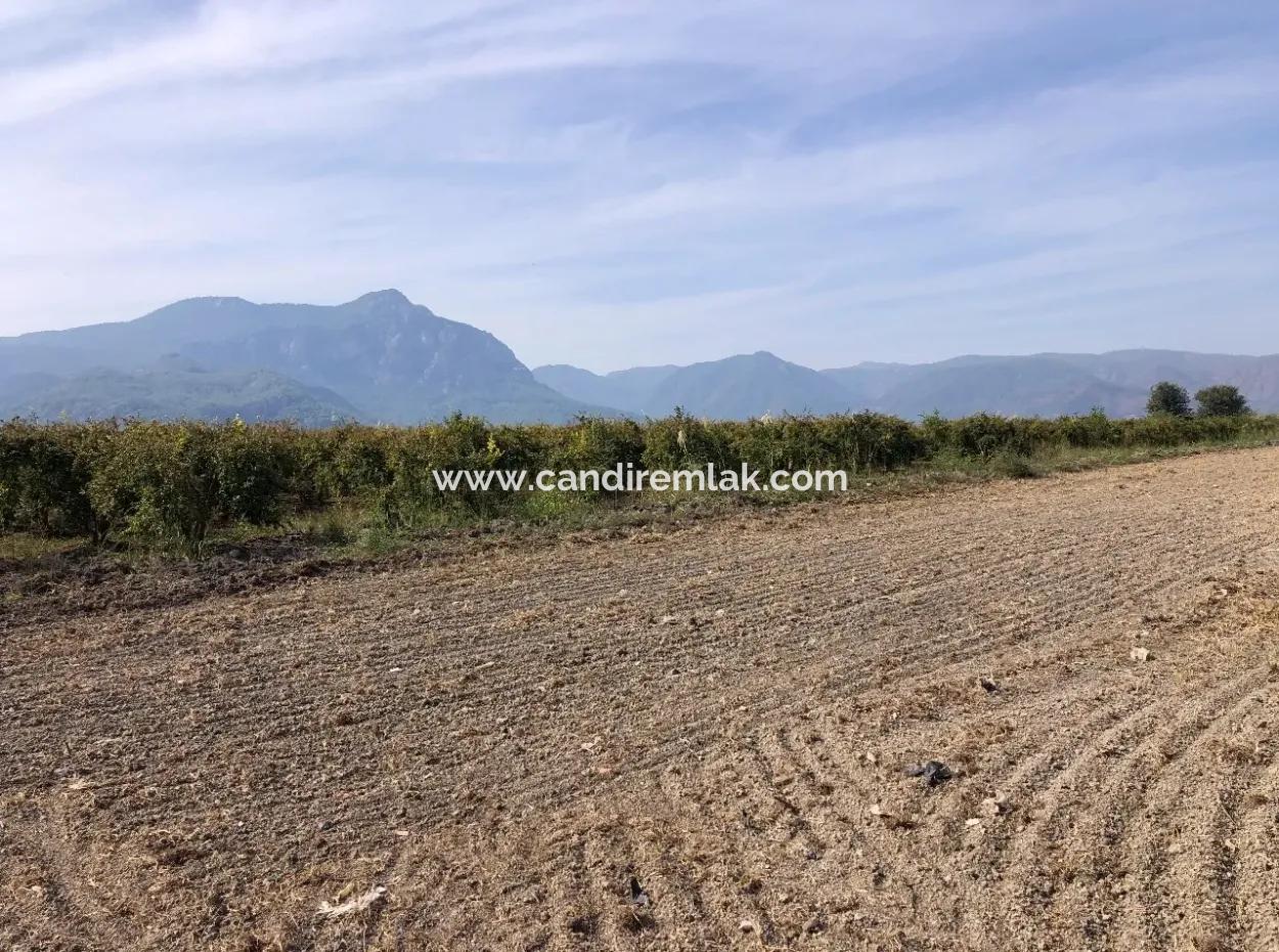 Land For Sale In Esköy 8500M2 Field Land For Sale