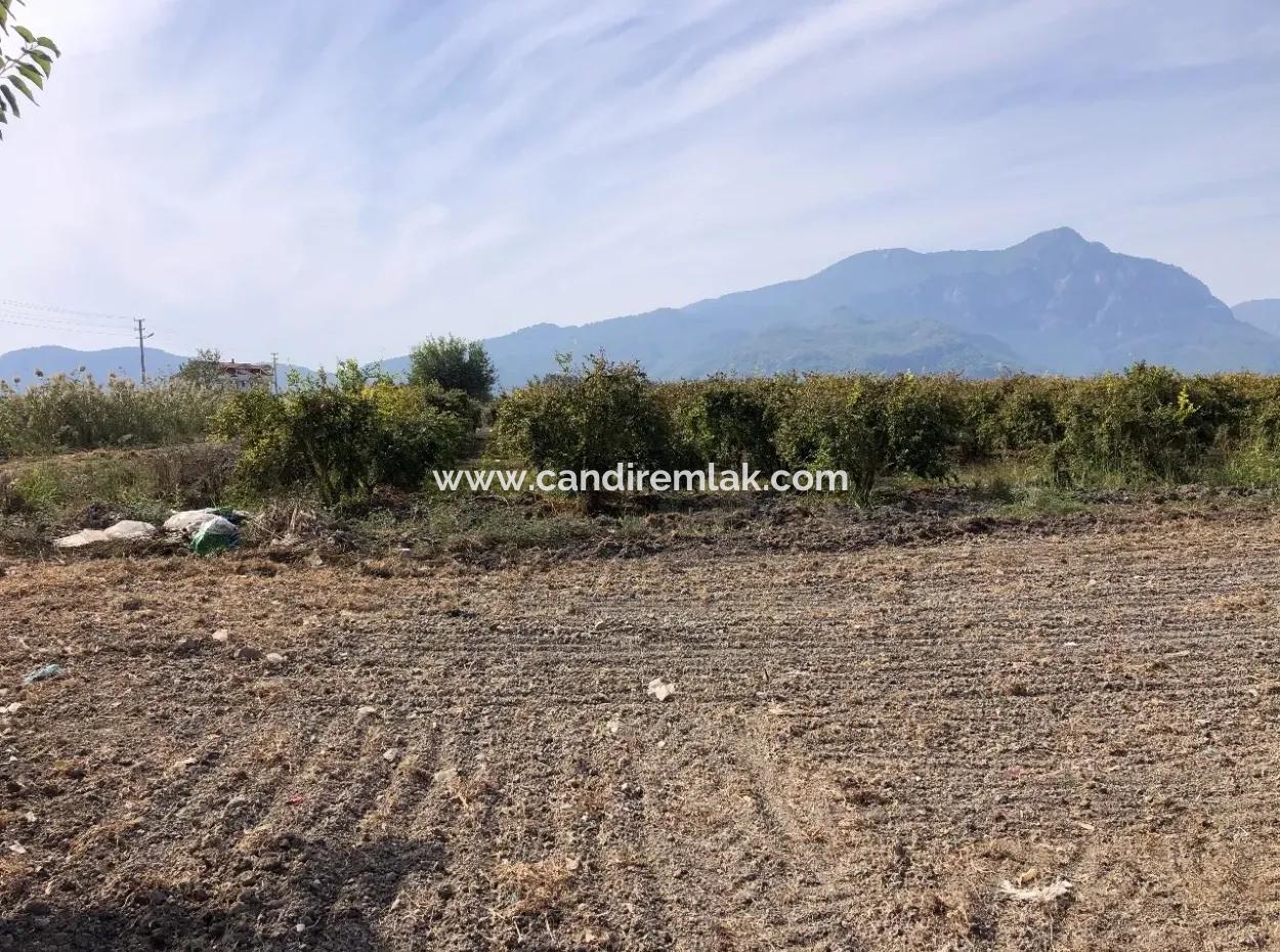 Land For Sale In Esköy 8500M2 Field Land For Sale