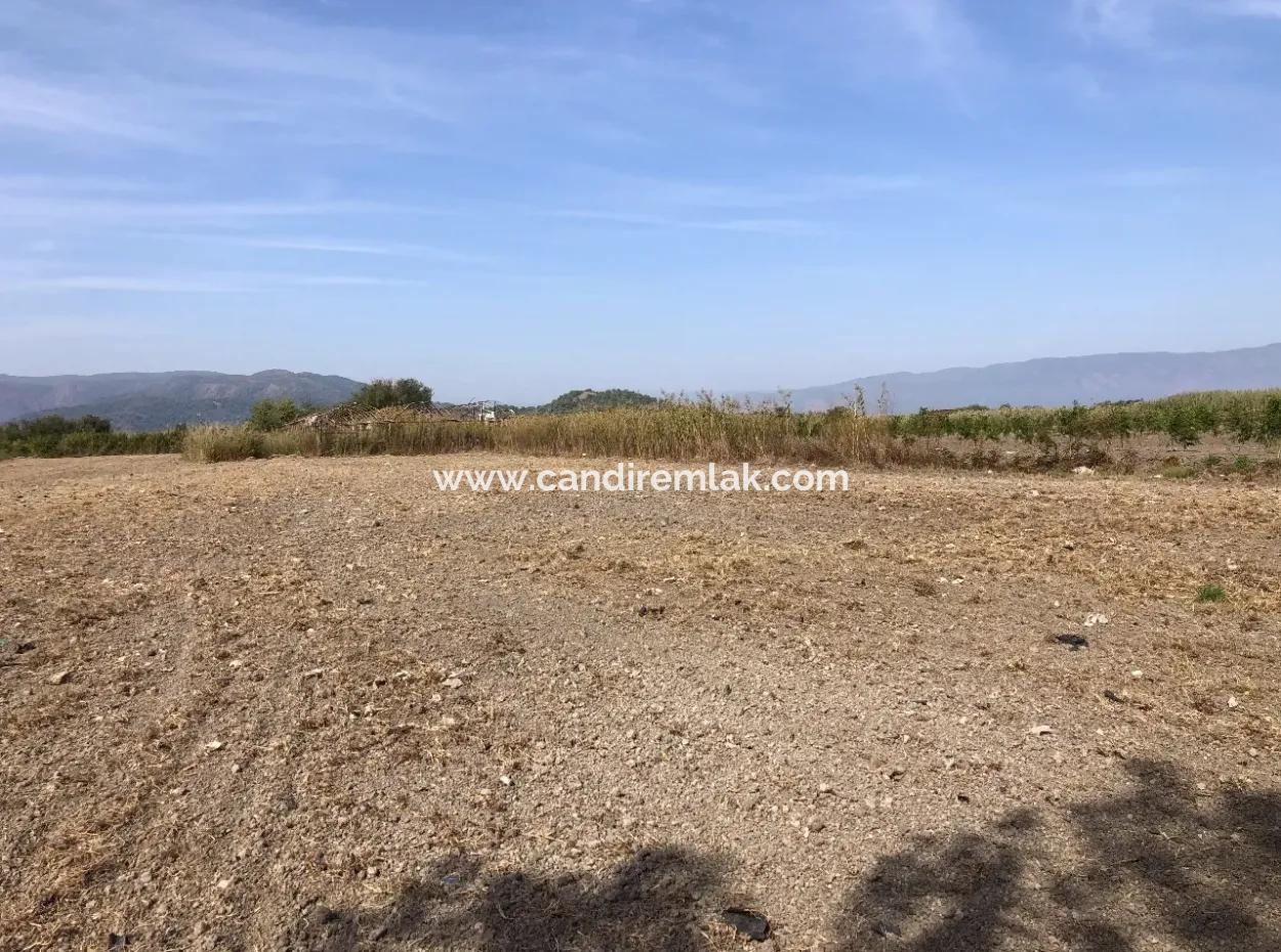 Land For Sale In Esköy 8500M2 Field Land For Sale