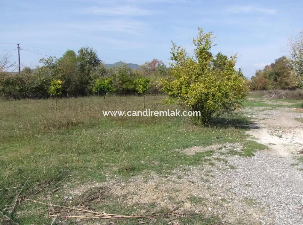 Land For Sale In Guzelyurt Land For Sale Zero 5515M2 Land For Sale On The Main Road