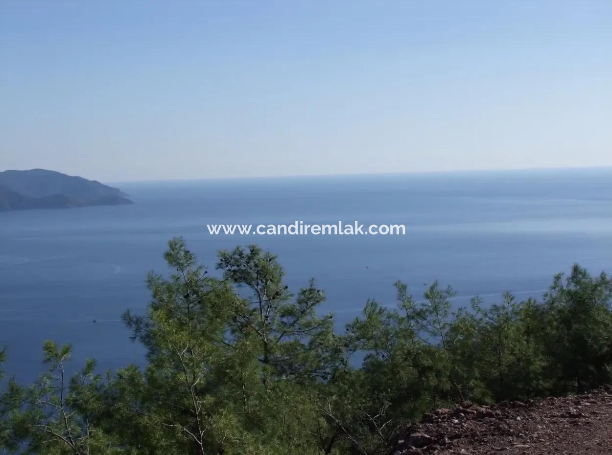 Real Estate Bargain Plot For Sale With Sea Views In Çandır Call In Ekincik
