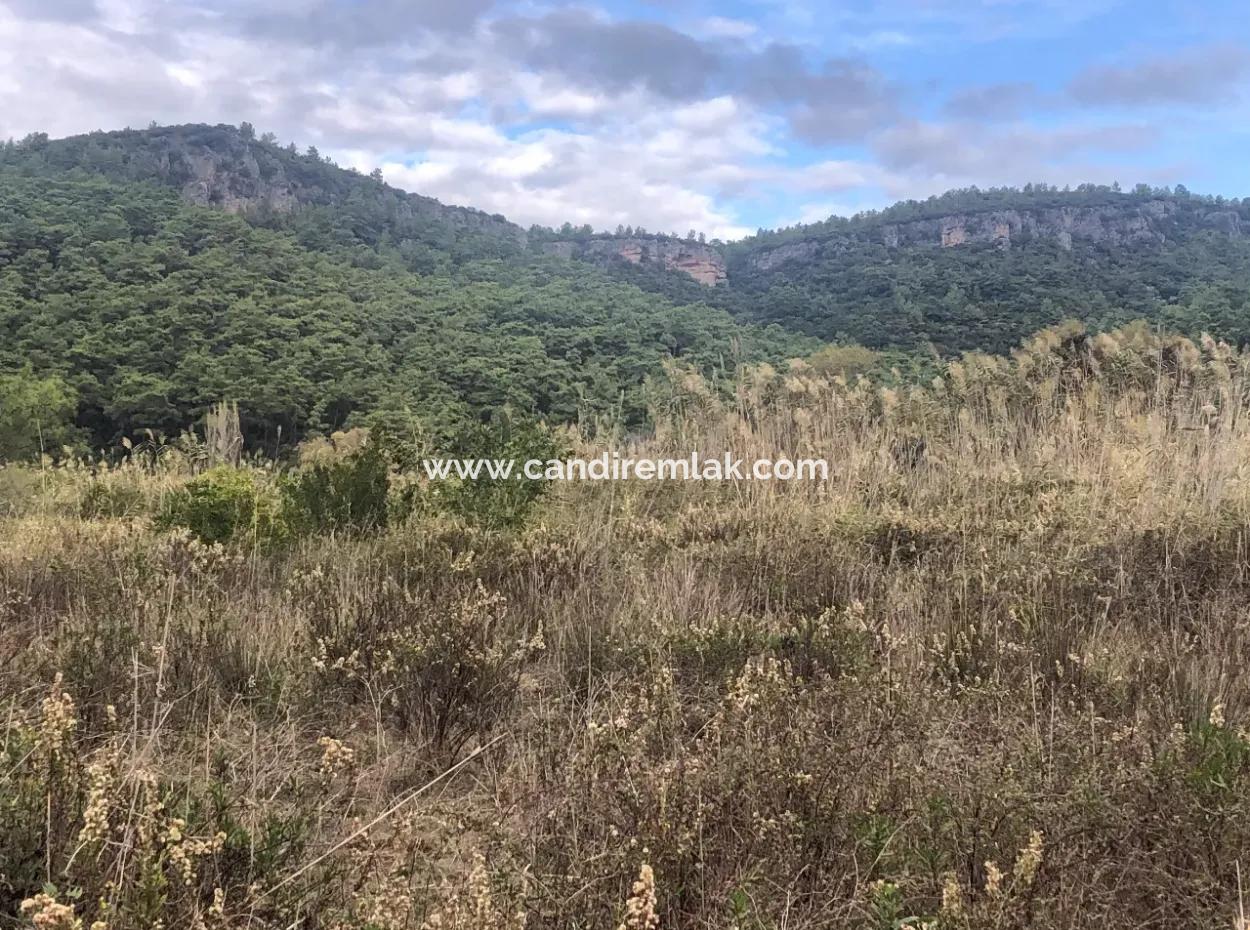 Land  For Sale Zero To Çamlı Canal 28768M2 Land For Sale With Sea View In Camlida