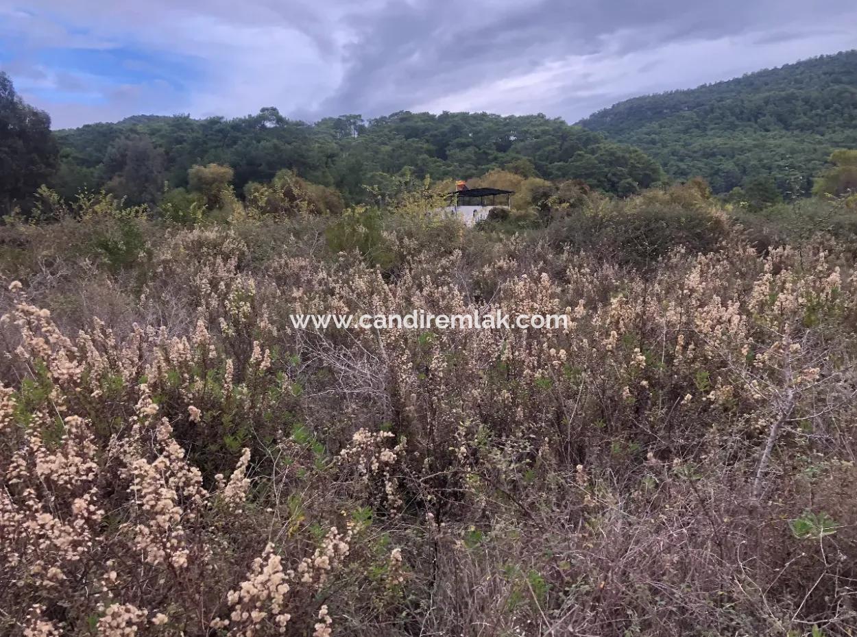 Land  For Sale Zero To Çamlı Canal 28768M2 Land For Sale With Sea View In Camlida