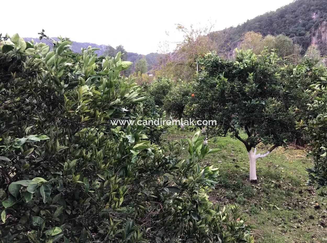 Single-Storey Detached House For Sale In 1222M2 Plot In Archers