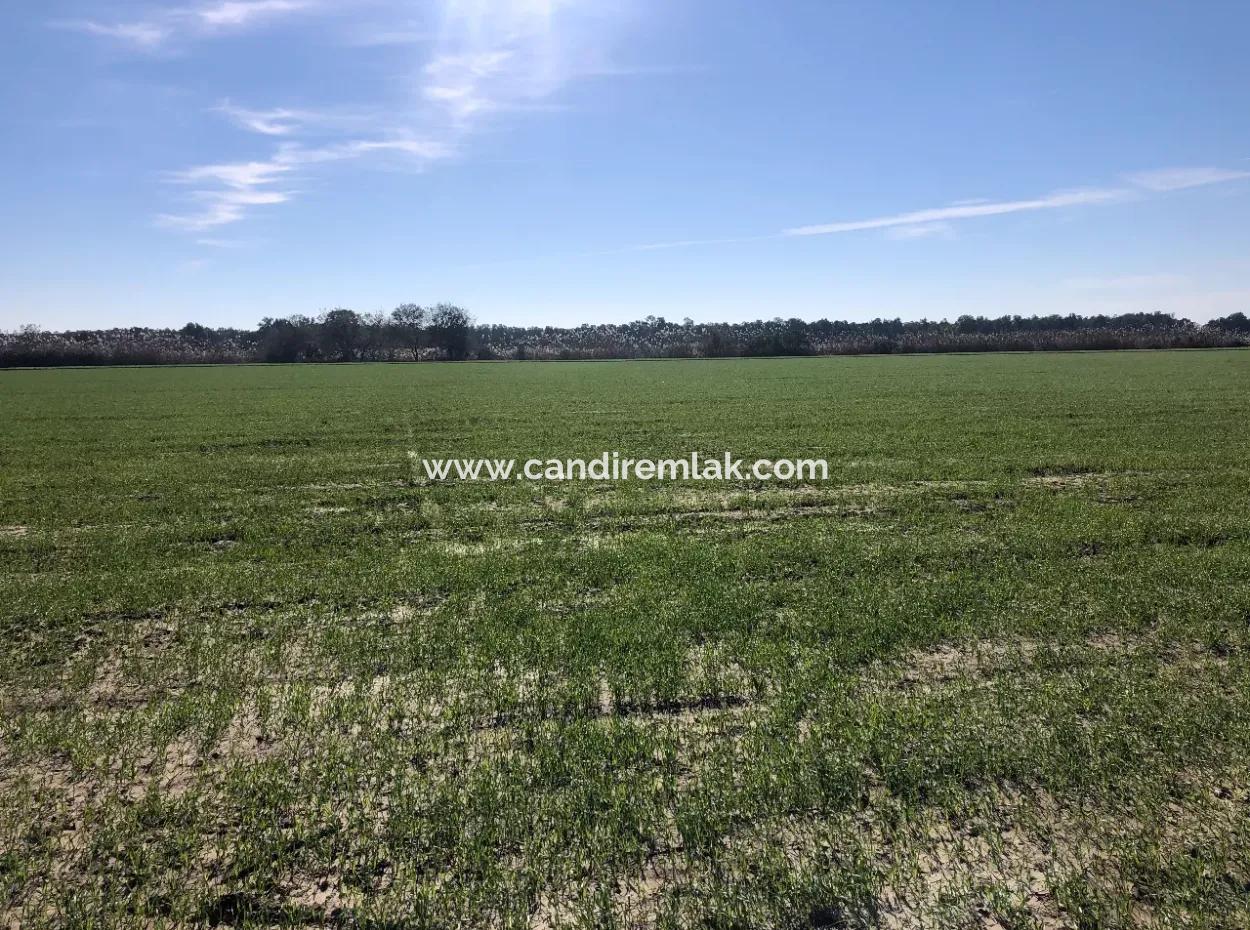 Land For Sale In Sarıgermede 30,000M2 Land For Sale With Sea View