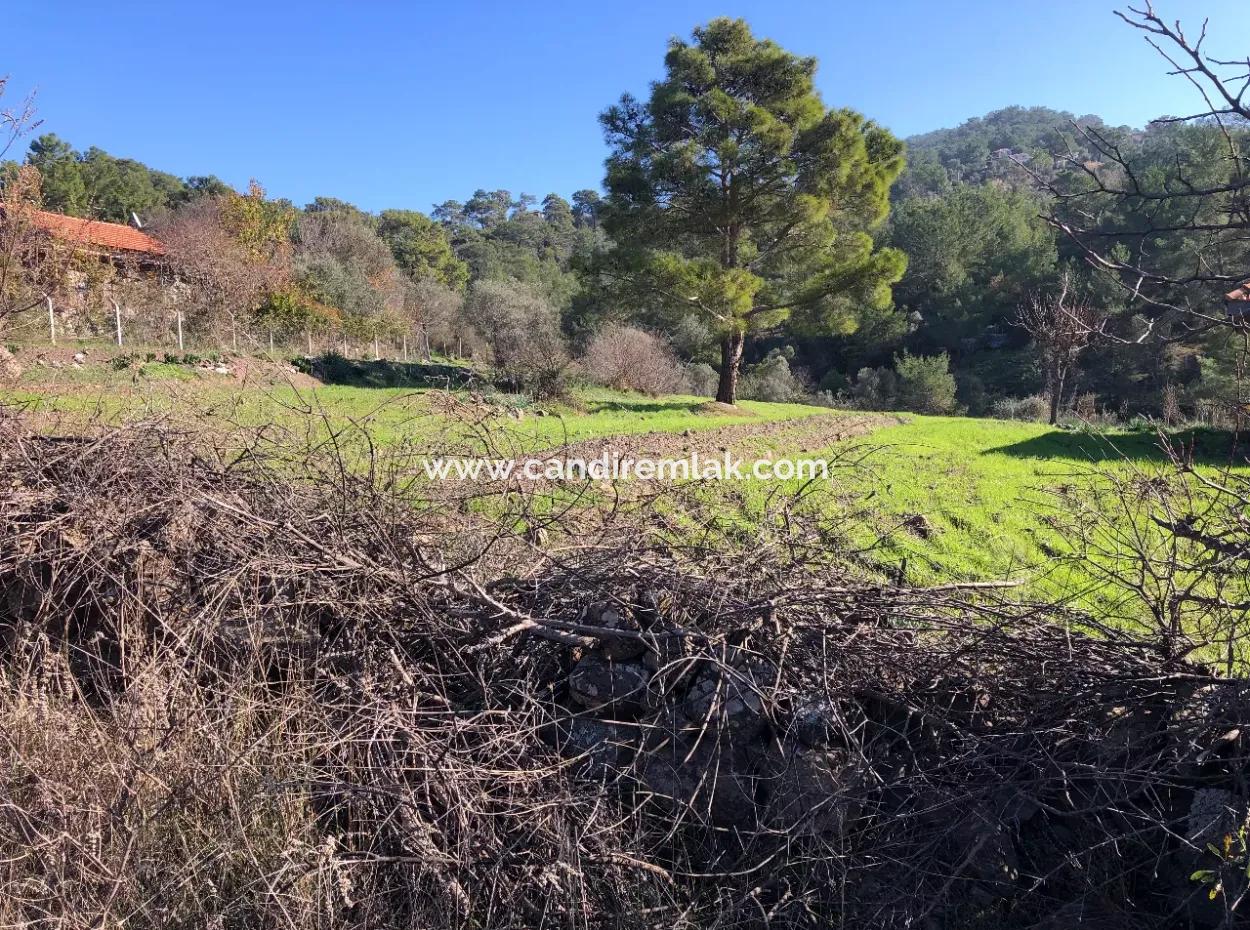 Gokbel Land For Sale 8000M2 Land For Sale With Full Sea View