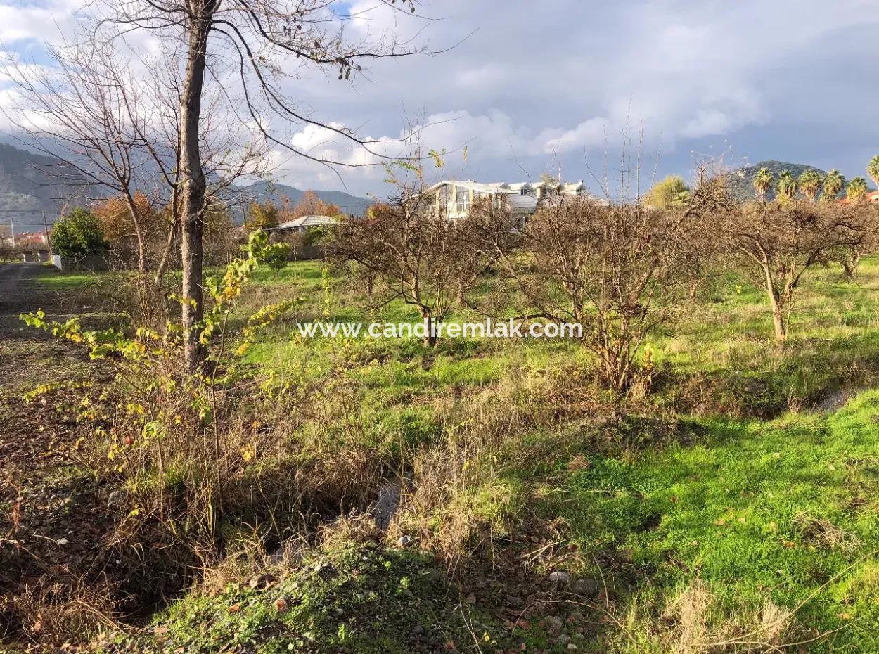 Dalyan Land For Sale Near The Center 3000M2 5% Zoning Land For Sale