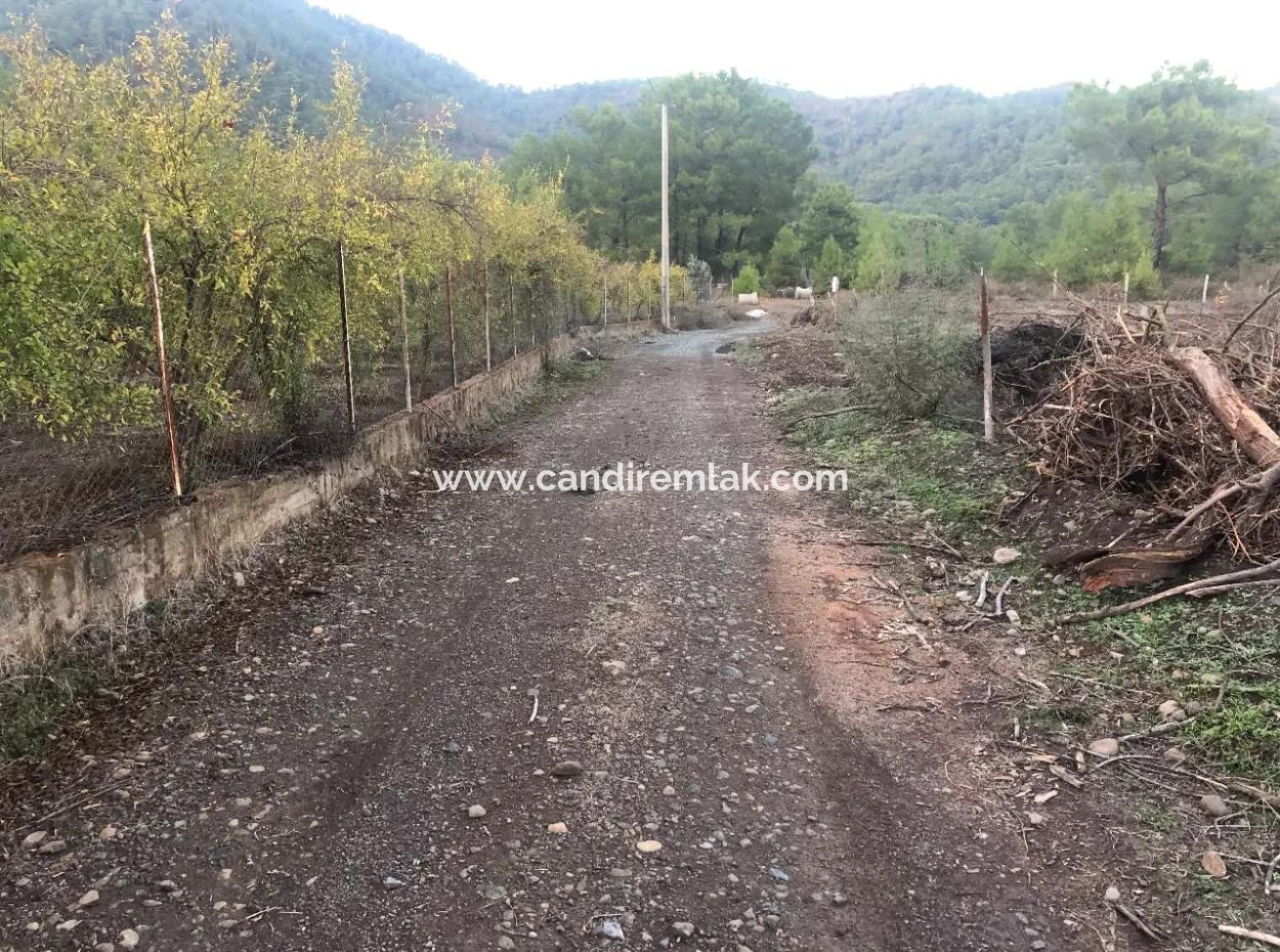 Sultaniye Land For Sale Near 10577M2 Lake Land For Sale