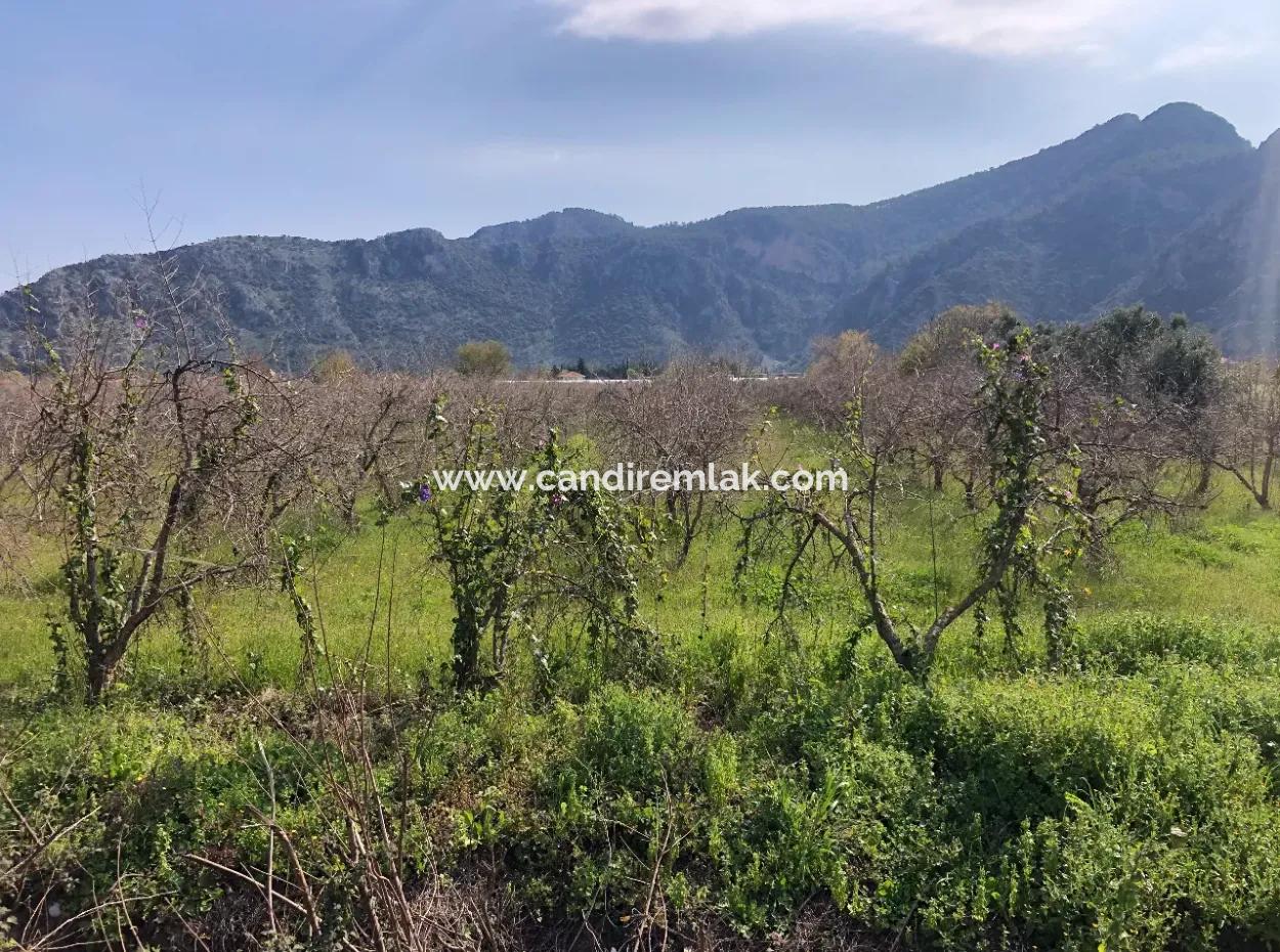 5500M2 Land For Sale In Dalyan