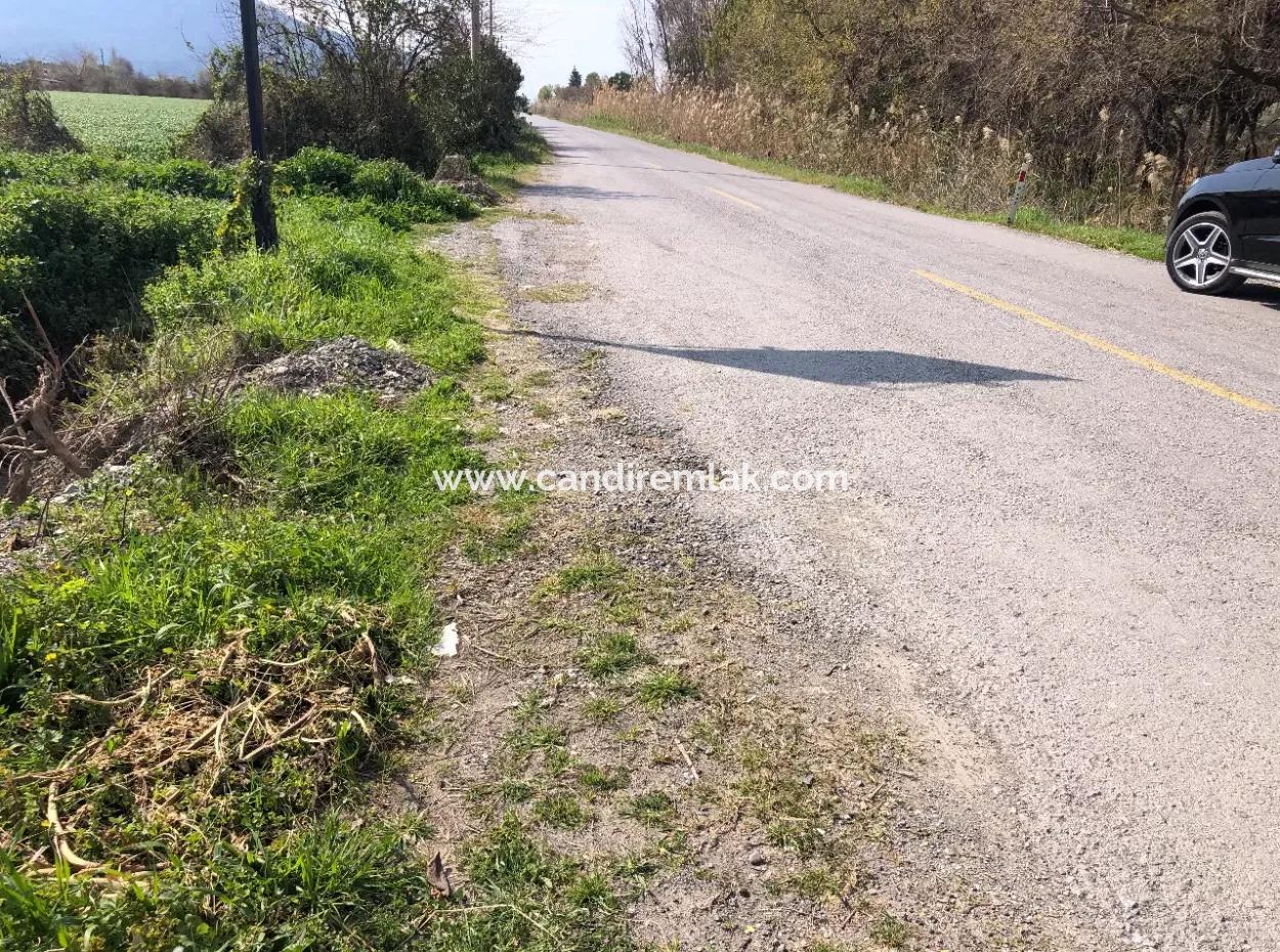 5500M2 Land For Sale In Dalyan