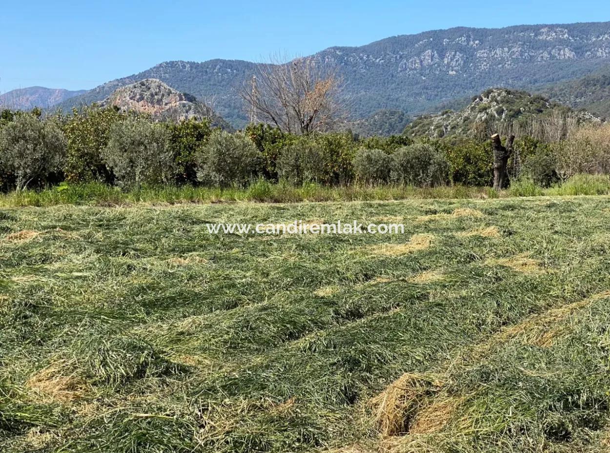 3700M2 Land For Sale In Dalyan