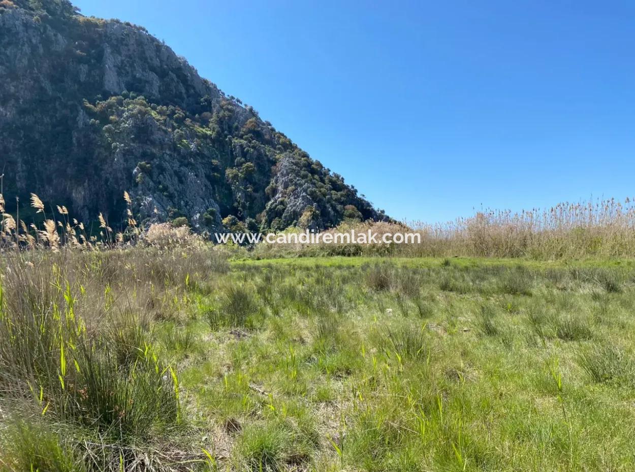 9310M2 Land For Sale In Dalyan