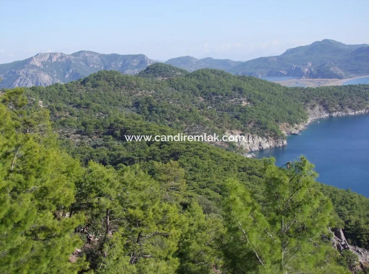 Real Estate Bargain Plot For Sale With Sea Views In Çandır Call In Ekincik